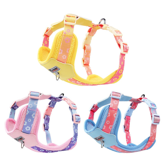 Vibrant Gradient No-Pull Dog Harness & Leash Set for Small Dogs