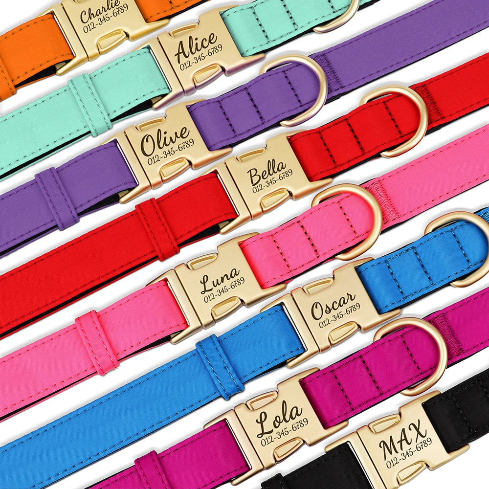 PawSecure Custom Engraved Nylon Dog Collar – Anti-Lost Waterproof Protection for All Breeds