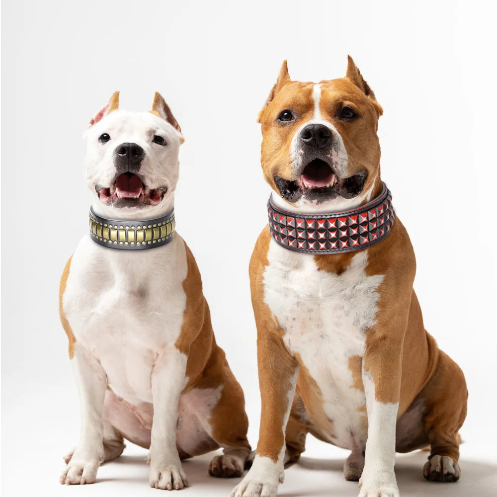 TitanStride Luxury Genuine Leather Dog Collar – Heavy-Duty Metal Rivet Neck Protection for Medium and Large Breeds
