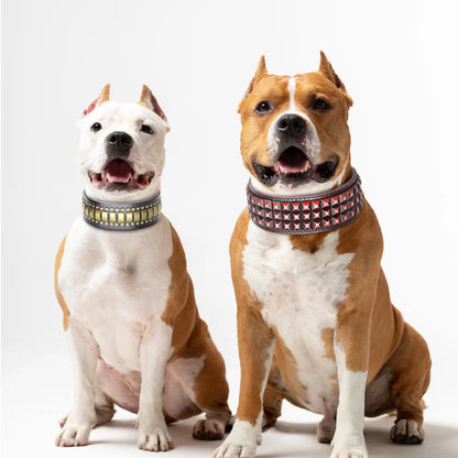 TitanStride Luxury Genuine Leather Dog Collar – Heavy-Duty Metal Rivet Neck Protection for Medium and Large Breeds