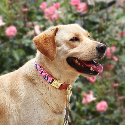 BlossomGuard Personalized Floral Dog Collar - Custom Engraved for All Breeds