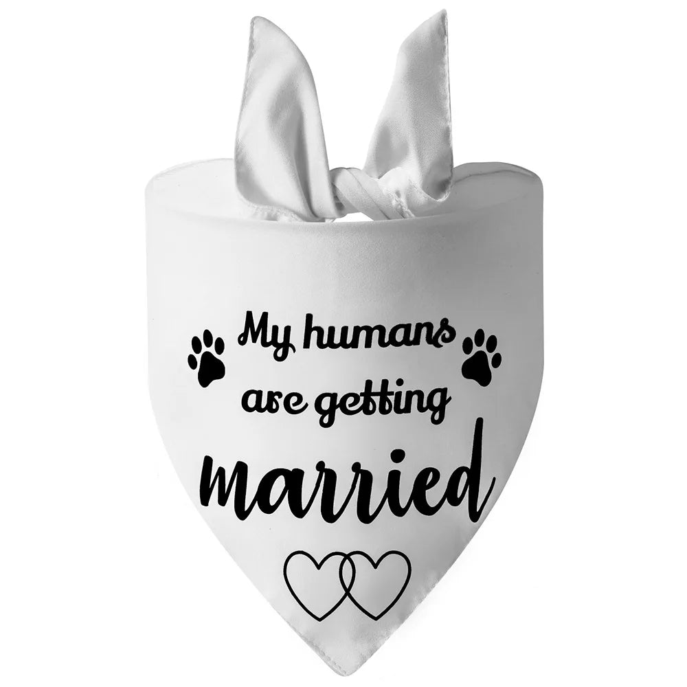 EverAfter Engagement & Wedding Pet Bandana – Charming Announcement Triangle Scarf