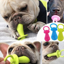 Load image into Gallery viewer, Pet Toy for Small Dogs Cats Teeth Cleaning Chew Training