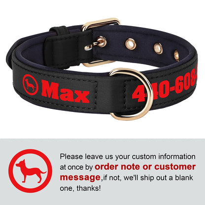 Personalized Breathable Nylon Dog Collar with Soft Padding