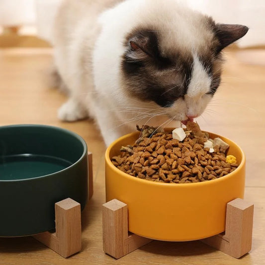 Ceramic Pet Bowl Cat Dogs Feeding Matted Elevated Dog Bowl Double Bowls Pet Food Water Feeder Wholesale Pet Manufacturer