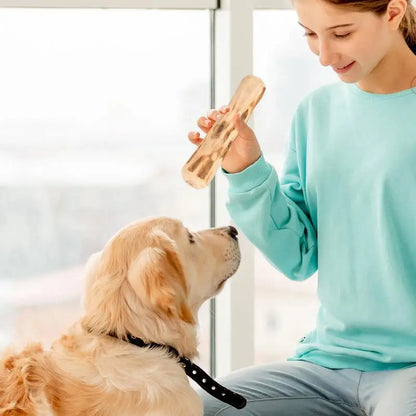 Natural Wooden Chew Stick for Aggressive Chewers - Safe, Durable, and Soothing