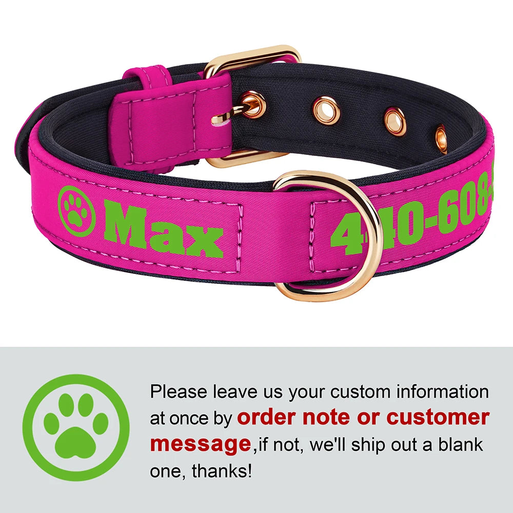 Personalized Breathable Nylon Dog Collar with Soft Padding