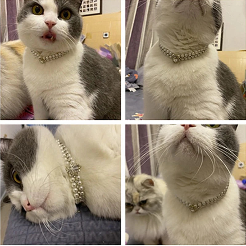 Elegant Pearl & Rhinestone Collar – Chic Accessory for Small Dogs & Cats