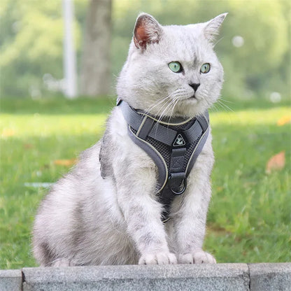 StrutStyle Fashion Reflective Mesh Harness & Leash Set – Premium Padded Outdoor Comfort for Cats and Small Dogs