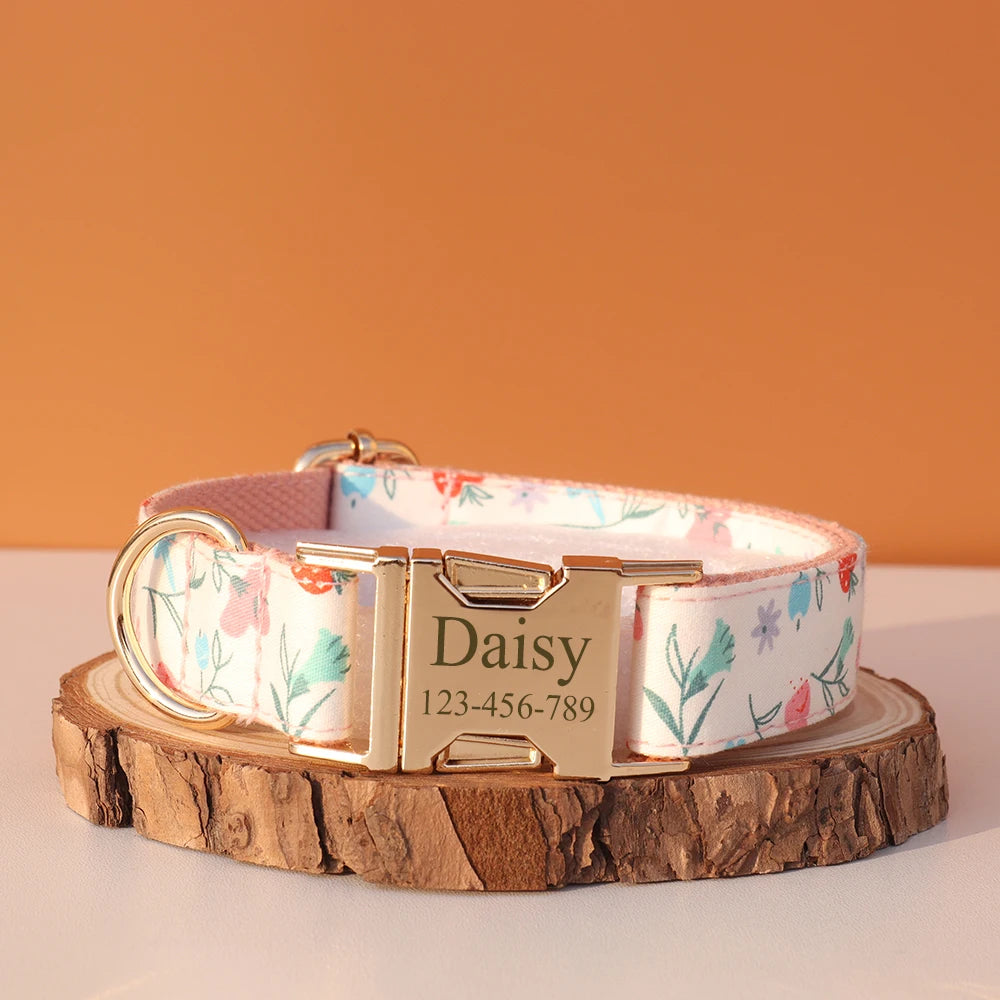 Personalized Dog Collar & Leash Set – Luxury Padded Nylon Walking Essentials with Custom Nameplate