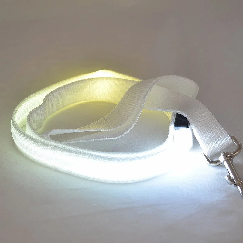LED Glowing Dog Leash