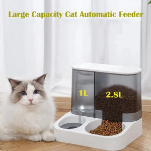 Automatic Cat Food Dispenser with Drinking Water