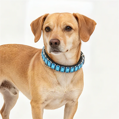 PawSparkle Rhinestone Dog Collar – Premium Crystal Gemstone Necklace for Dogs and Cats