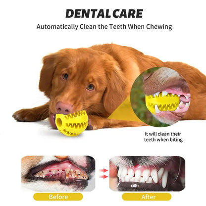 PlaySmart Interactive Rubber Food Ball - Tooth Cleaning & Chew Toy for Dogs