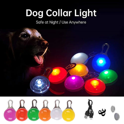 Led Dog Collar Pendant Rechargeable