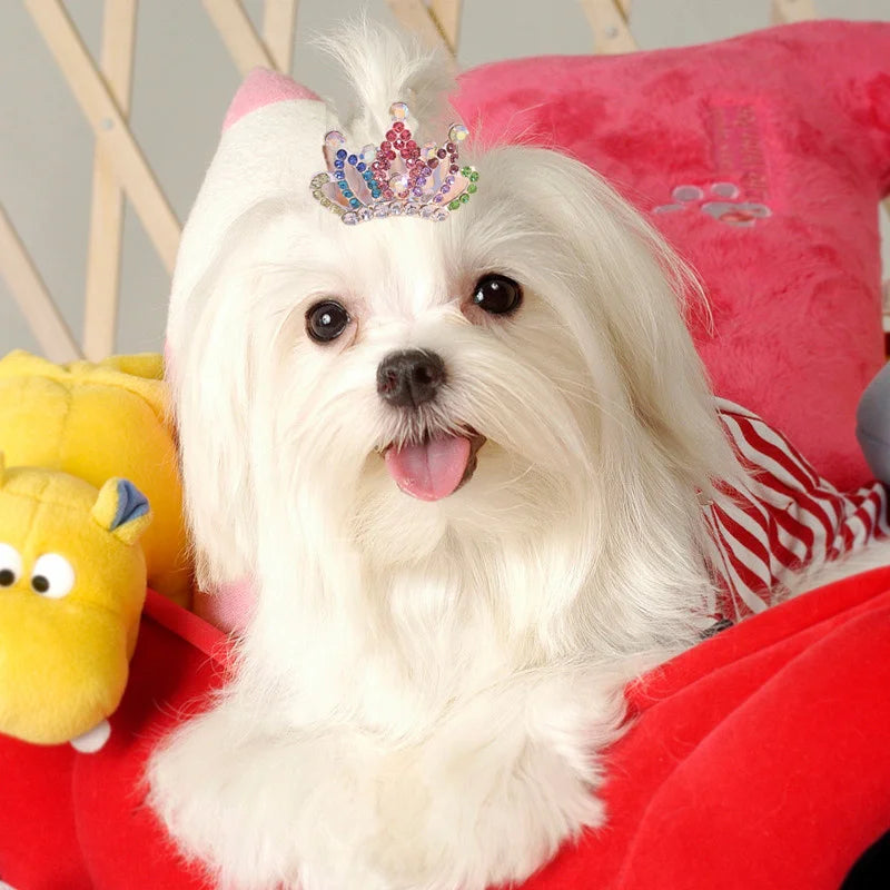 RoyalCrown Pearl & Rhinestone Pet Hair Comb – Luxurious Grooming Accessory