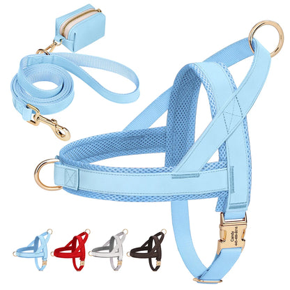 Personalized Leather Harness & Leash Set with Bag - Comfort & Style for Every Adventure