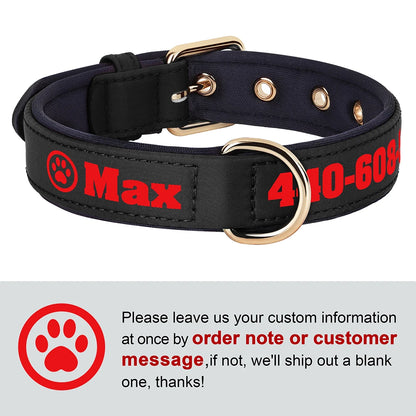 Personalized Breathable Nylon Dog Collar with Soft Padding
