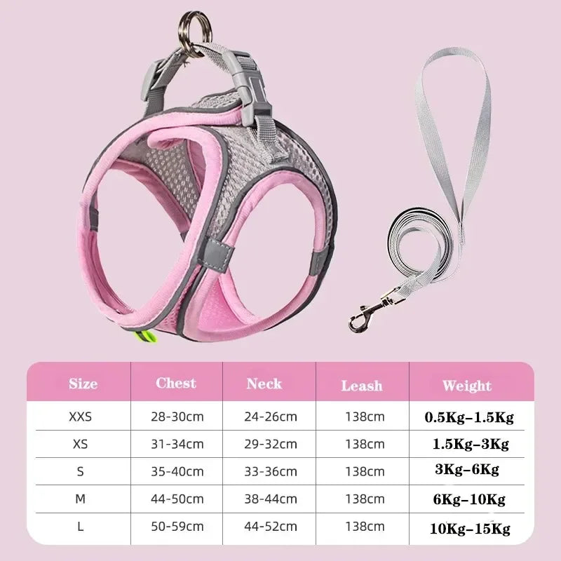 AirStride Breathable Mesh Vest Harness – Soft & Adjustable Training Harness for Dogs & Cats