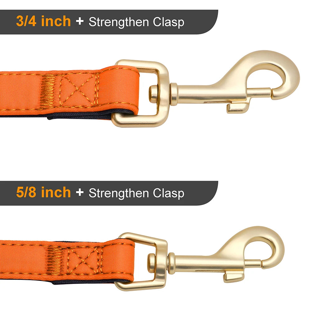 Vibrant Nylon Dog Leash – Heavy-Duty Walking Lead with Soft Padded Handle