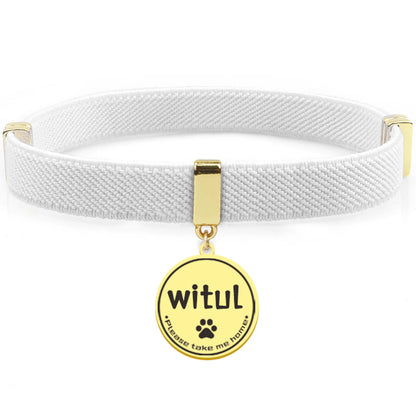 AeroTrack Elastic Personalized Cat Collar – Safe, Comfortable, and Stylish