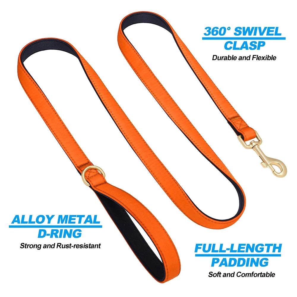 Vibrant Nylon Dog Leash – Heavy-Duty Walking Lead with Soft Padded Handle