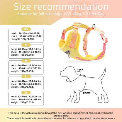 Vibrant Gradient No-Pull Dog Harness & Leash Set for Small Dogs