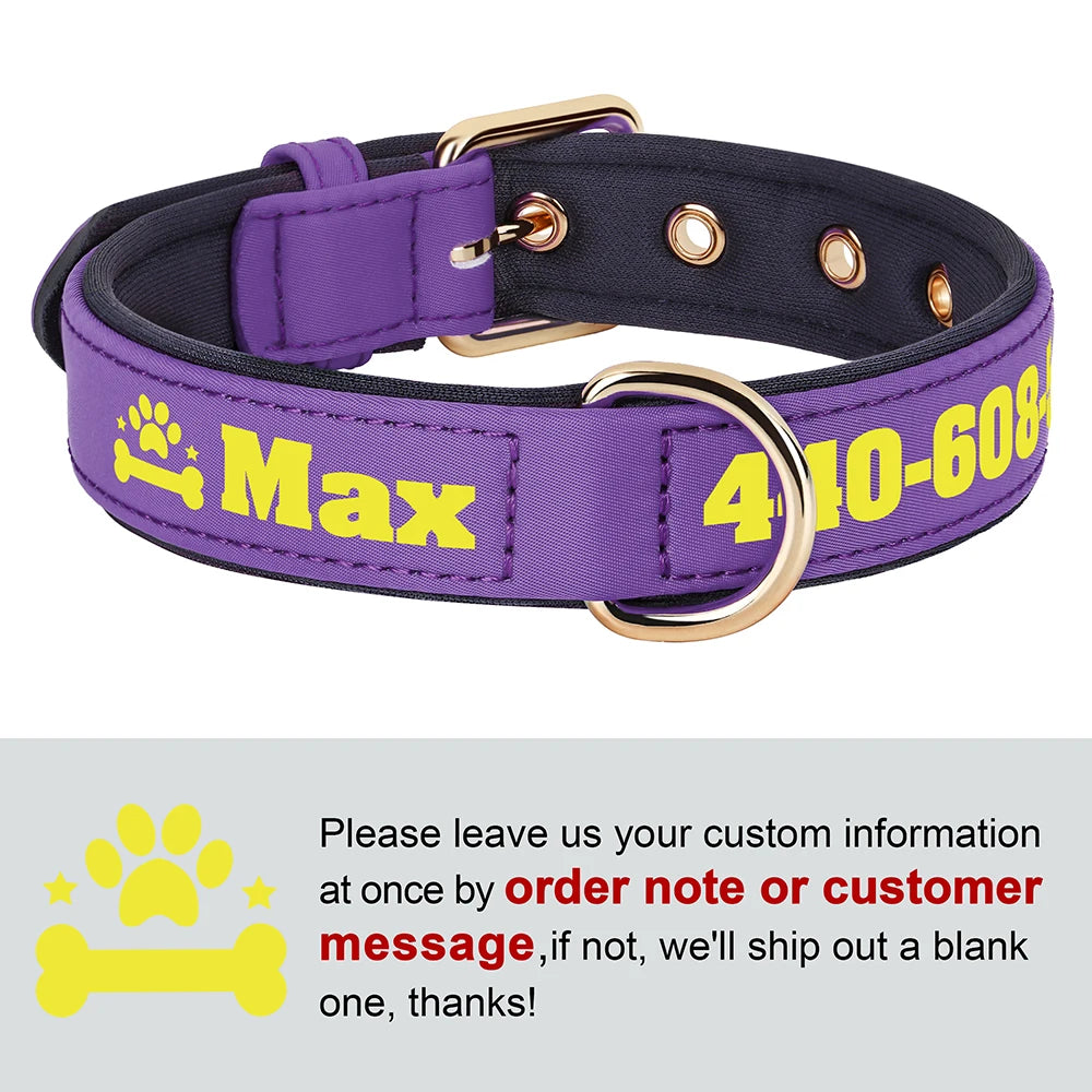 Personalized Breathable Nylon Dog Collar with Soft Padding