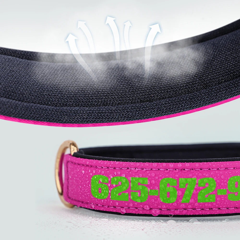 Personalized Breathable Nylon Dog Collar with Soft Padding