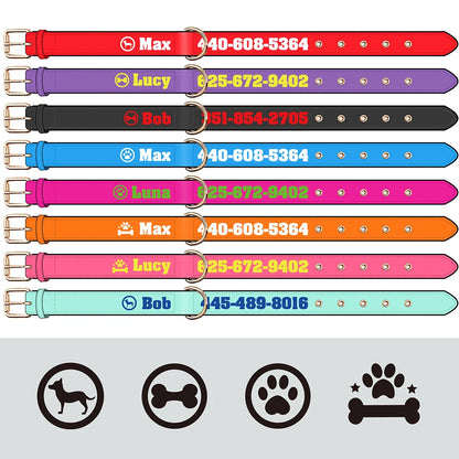 Personalized Breathable Nylon Dog Collar with Soft Padding