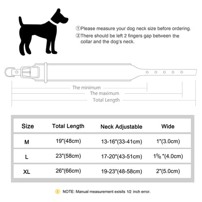 TitanTough Personalized Wide Leather Dog Collar – Premium Padded Heavy-Duty ID Protection for Medium & Large Breeds