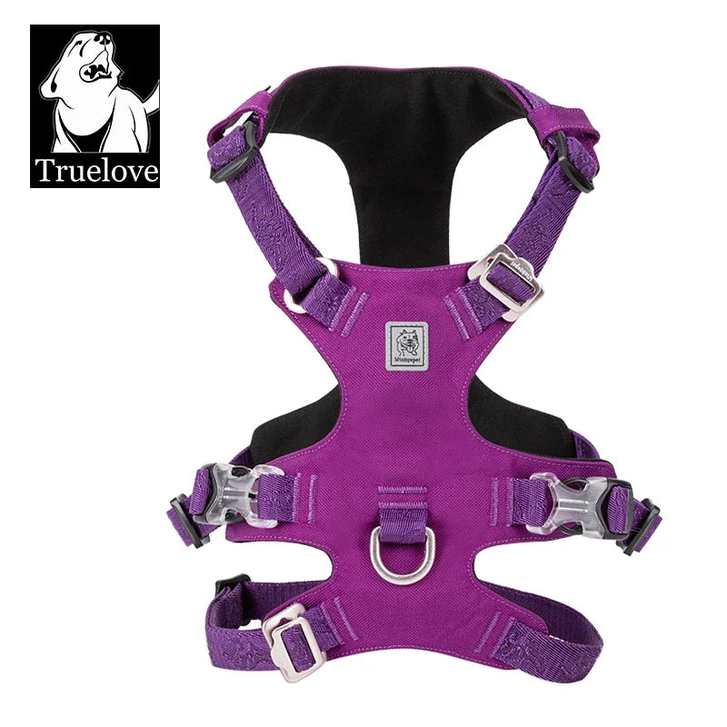 TrueFit Embroidered Nylon Dog Harness - Lightweight, Waterproof Comfort