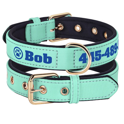 Personalized Breathable Nylon Dog Collar with Soft Padding