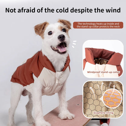 Cozy Paws Thermal Puffer Jacket - Two-Tone Winter Warmth for Small Dogs