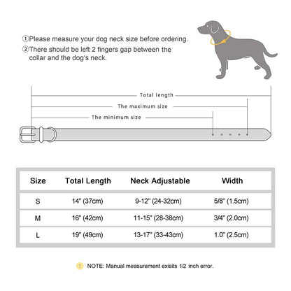 Personalized Breathable Nylon Dog Collar with Soft Padding