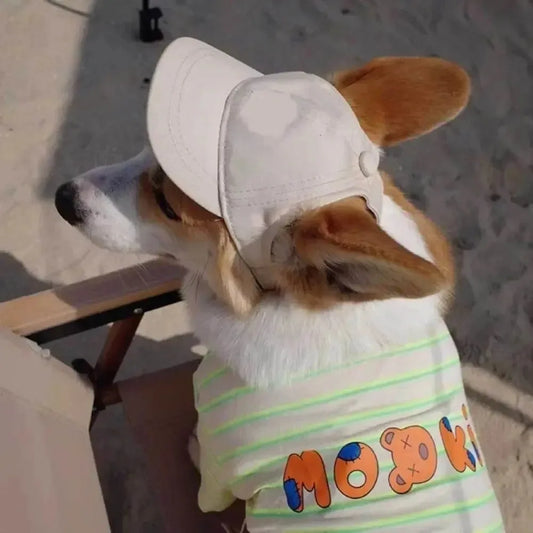 Korean Style Pet Baseball Cap – Adjustable Sun Protection for Dogs & Cats