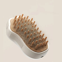 Load image into Gallery viewer, 3 in 1 Pet Steam Brush Spray Hair Removal Combs