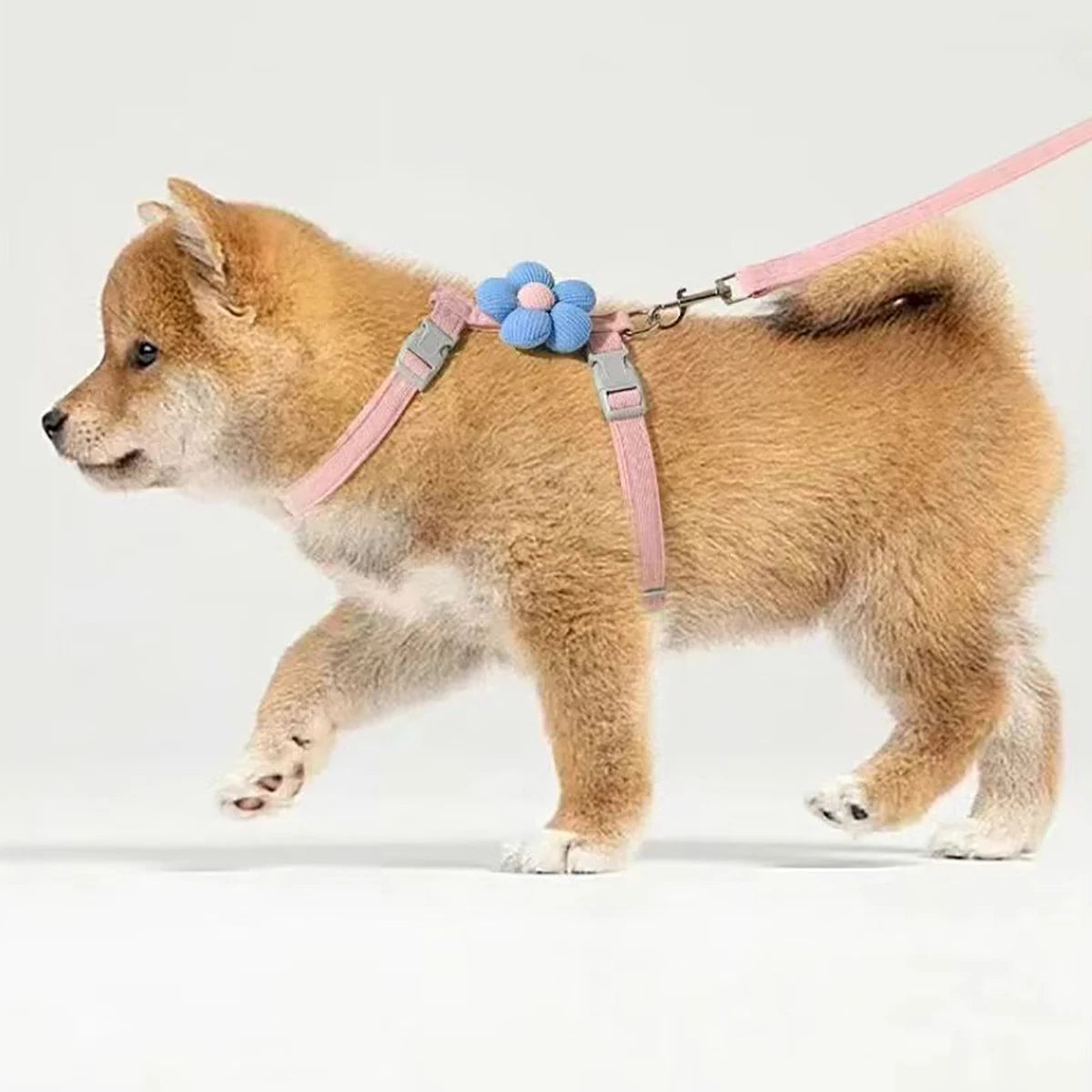 PawBreeze Adjustable Escape-Proof Harness & Leash Set – Breathable Comfort for Cats and Small Dogs