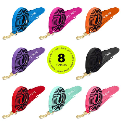 Vibrant Nylon Dog Leash – Heavy-Duty Walking Lead with Soft Padded Handle