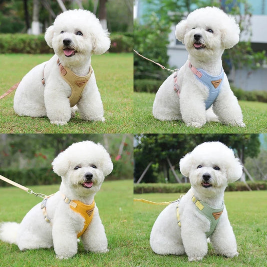 Breathable Puppy Harness & Leash Set for Small to Medium Dogs and Cats