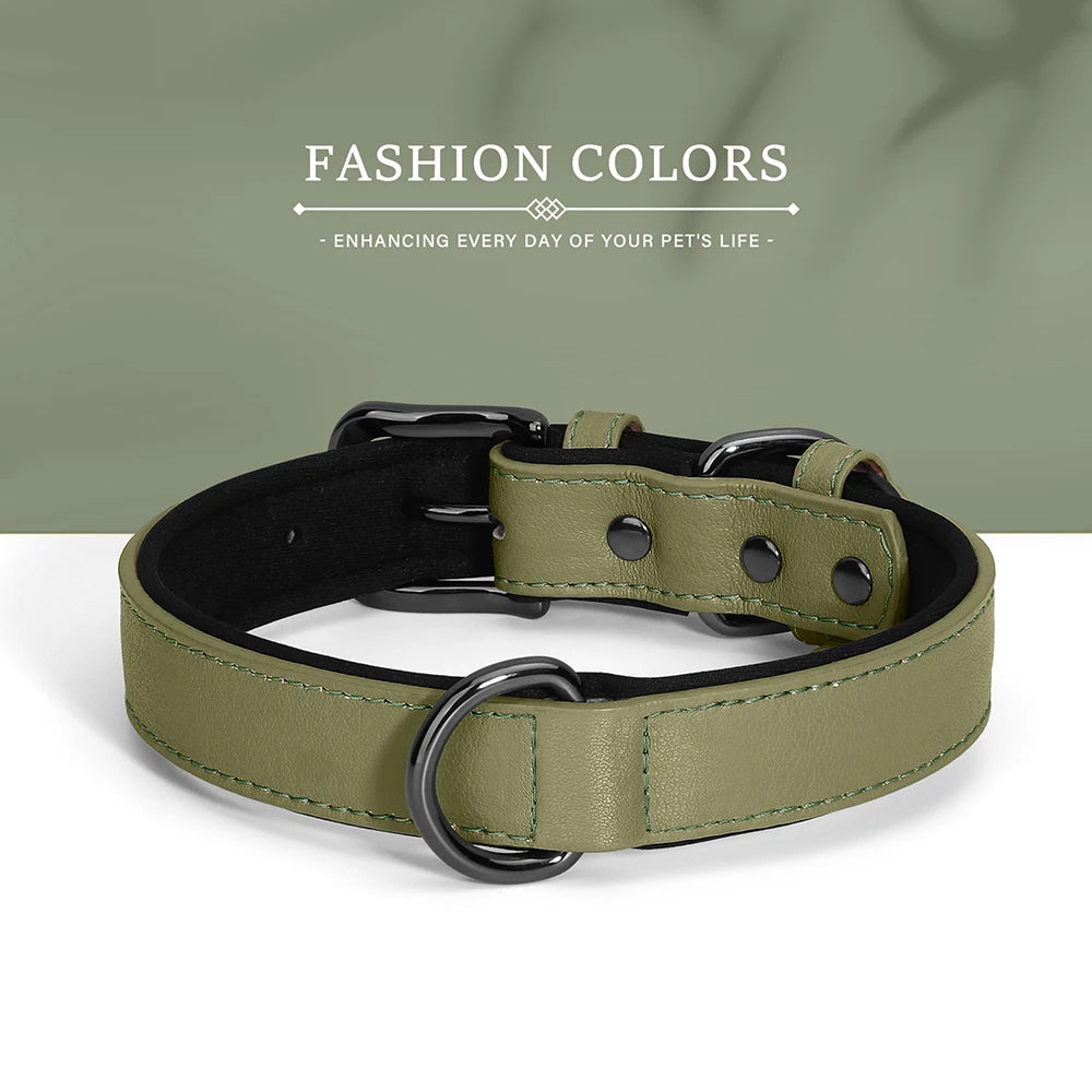 Soft Padded PU Leather Dog Collar – Stylish Comfort for All Breeds