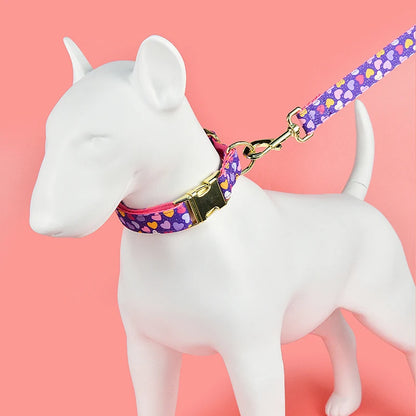 Vibrant Paws Luxury Double-Sided Collar & Leash Set – Adjustable and Colorful for All Dogs