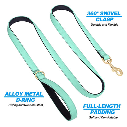 Vibrant Nylon Dog Leash – Heavy-Duty Walking Lead with Soft Padded Handle