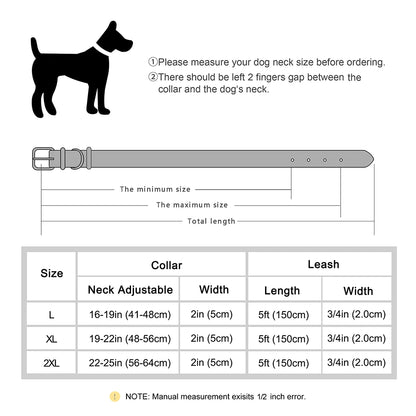 Regal Strength: Luxury Leather Collar & Leash Set for Big Dogs