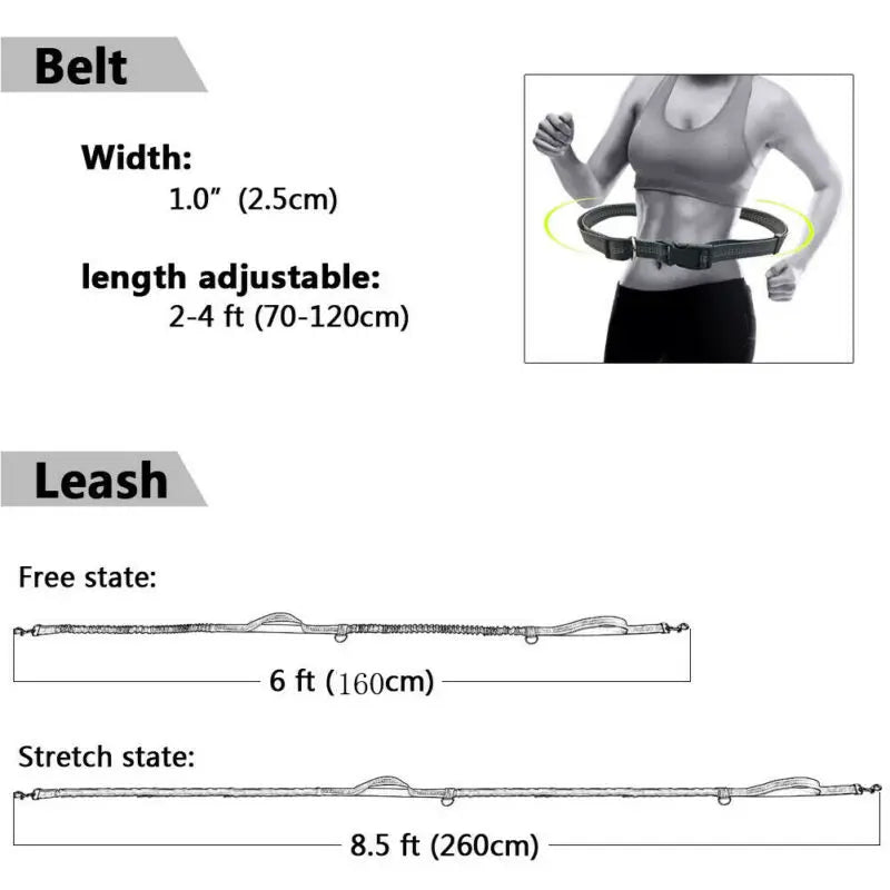Reflective Leash Rope Dog Running Belt