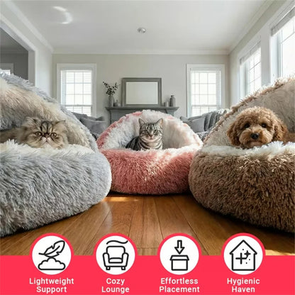 Cozy Cuddle Plush Nest – 2-in-1 Shell-Shaped Cat & Puppy Bed for Ultimate Warmth