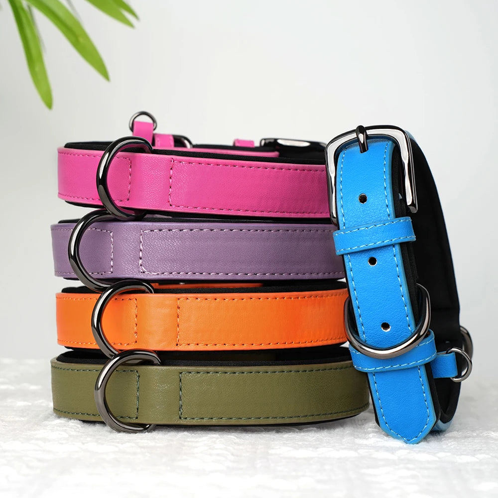 Soft Padded PU Leather Dog Collar – Stylish Comfort for All Breeds