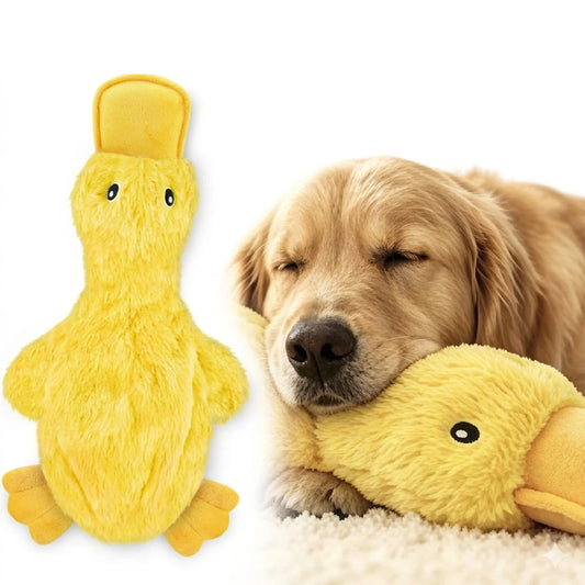 QuackBuddy Squeaky Duck Plush Toy – Interactive Teeth Grinding & Boredom Relief Companion