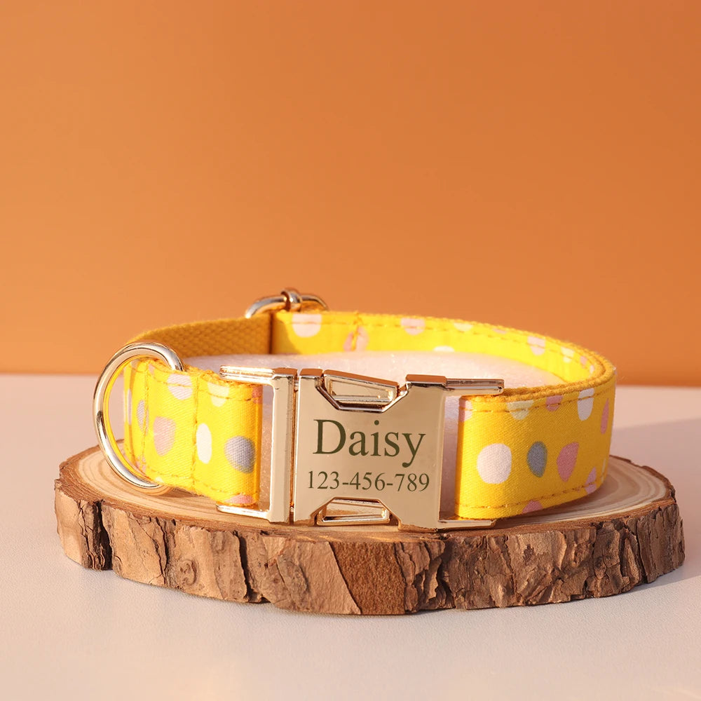 Personalized Dog Collar & Leash Set – Luxury Padded Nylon Walking Essentials with Custom Nameplate