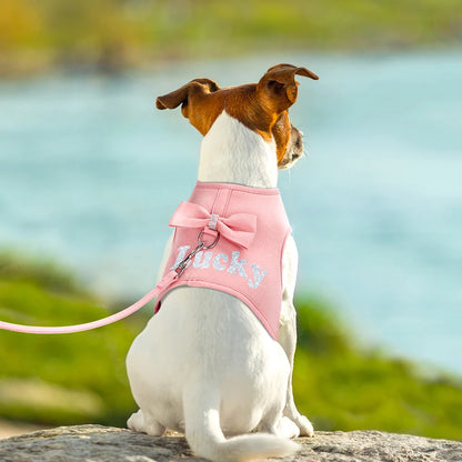 BowKnot Bliss: Personalized Mesh Harness & Leash Set for Stylish Pups - Barking Meows